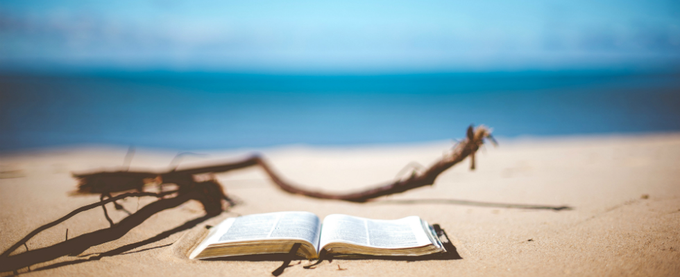 Benidorm, protagonista en la &uacute;ltima novela de  Rosa Gilbert